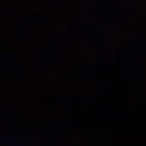 Lleyton Wilson mugshot