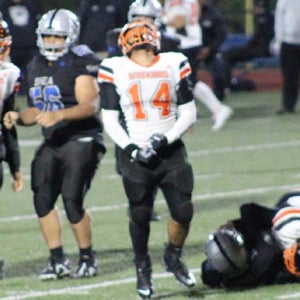 Gianni Sacco mugshot