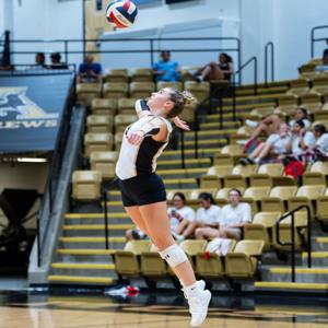 Danlee Fisher mugshot