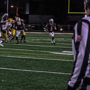 Hameed Brothers mugshot