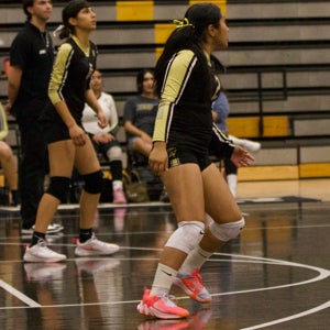 Emily Torres mugshot