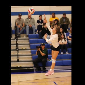 Violet Taylor mugshot