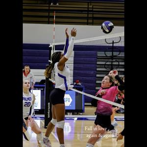 Leila Petersen mugshot