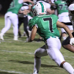 Emiliano Bermudez mugshot