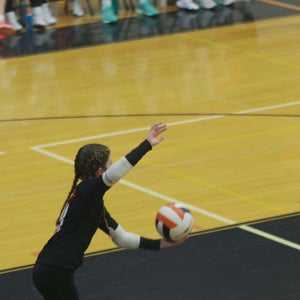 Alaina Ketner
