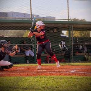 Anna Mesarina mugshot