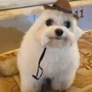 Matthew Quintero mugshot