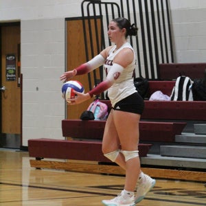 Loryn Pierson mugshot