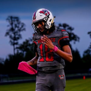 Santana Garcia mugshot