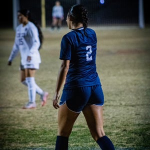 Cienna Perrone mugshot