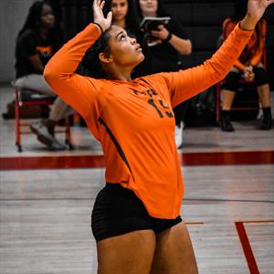 Swan Clinton mugshot