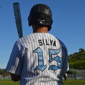 David  Silva Jr. mugshot