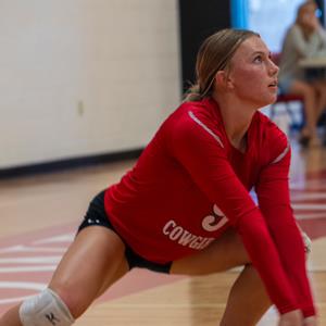 Annie Allred mugshot