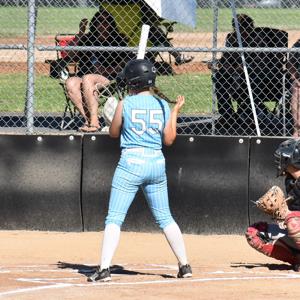 Kaylie Schmitz mugshot