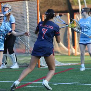 Vivian Lefkovits mugshot