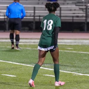 Amani Williams mugshot