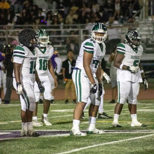 Amare Williams-Palaamo