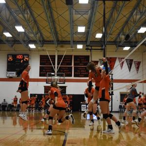 Ayla Johnson mugshot