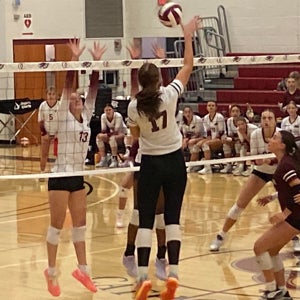 Alaina Malobabich mugshot