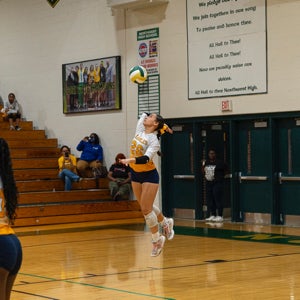 Joslyn Young mugshot