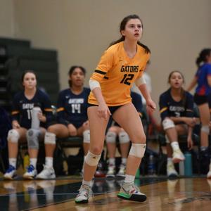 Sydney Rolfe mugshot