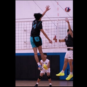 Fountain Wang mugshot