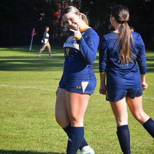 Brylin Donald mugshot