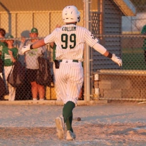 Ayden Collom mugshot