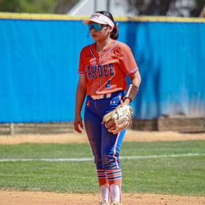 Elida Ramirez mugshot