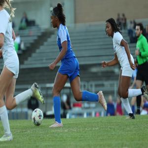 MCKENZIE ARMWOOD