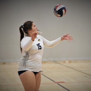 Sanaa Mikaele mugshot