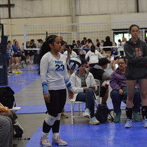 Diane Iakopo mugshot