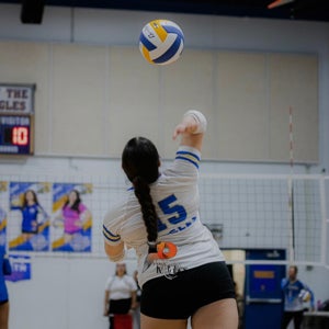 Deyanira Trevizo mugshot