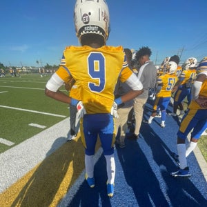 Robert Wallis mugshot