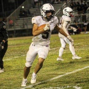 Louis Welling-Belli mugshot