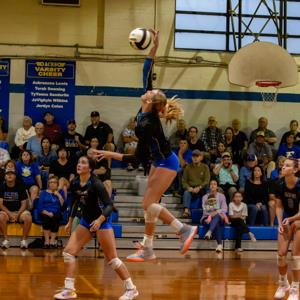 Sarah logan Cobb mugshot