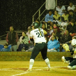 Casey Tomljanovic mugshot