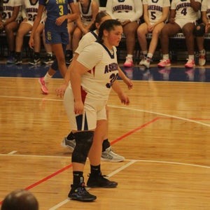 Laneane F Scherer
