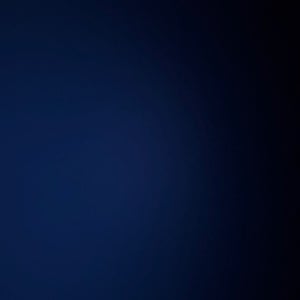 Anthony Lott mugshot