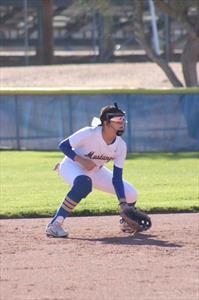 Viana Robles mugshot