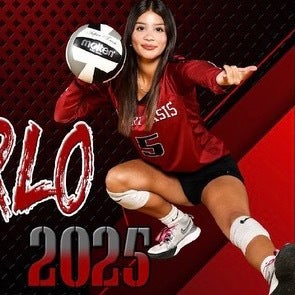 Zoe De Zarlo mugshot