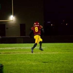 Damari Perryman mugshot