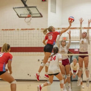 Sophie Taylor mugshot