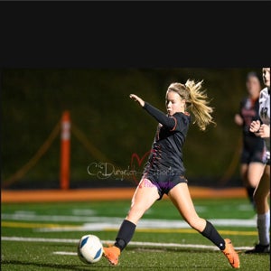 Bridgette Hollifield mugshot