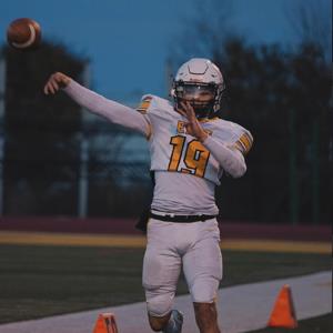 Dolphka Lewis mugshot