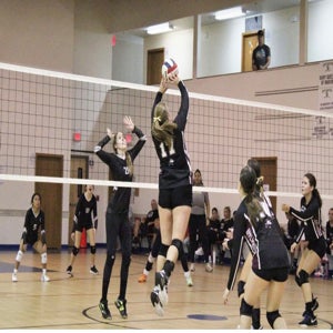 Natalie Franklin mugshot