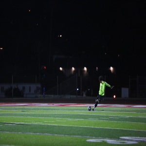 Leonardo Alishan mugshot