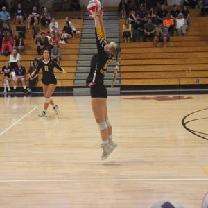 Ashley Wellman