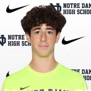 Theo Apfelberg mugshot