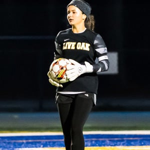 ADDILYN ROGILLIO